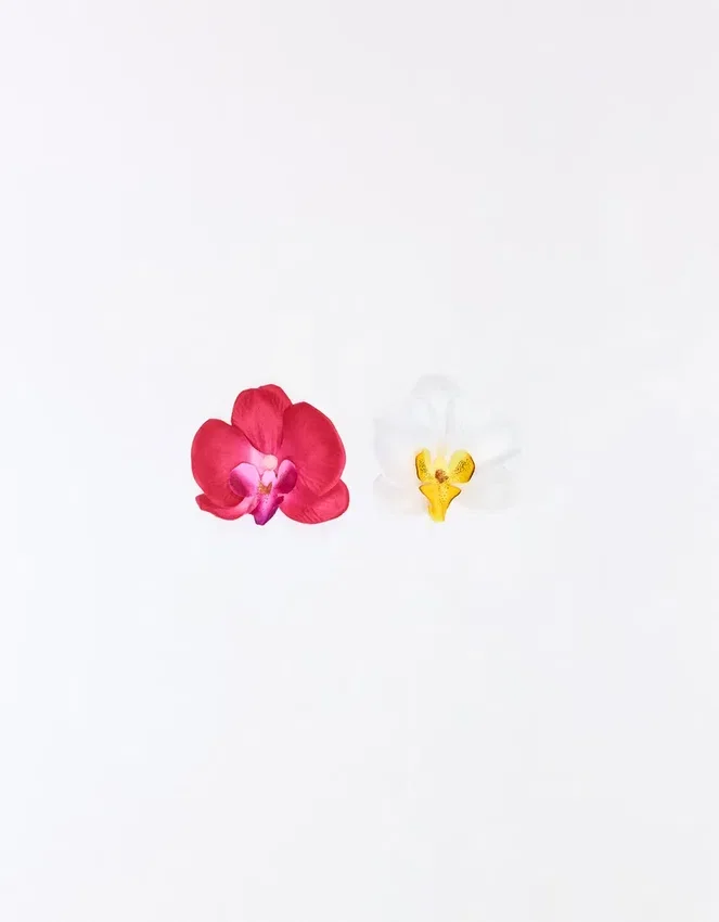 Pack de horquillas con forma de flor Pack de horquillas con forma de flor