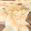 Pañuelo con estampado floral Pañuelo con estampado floral